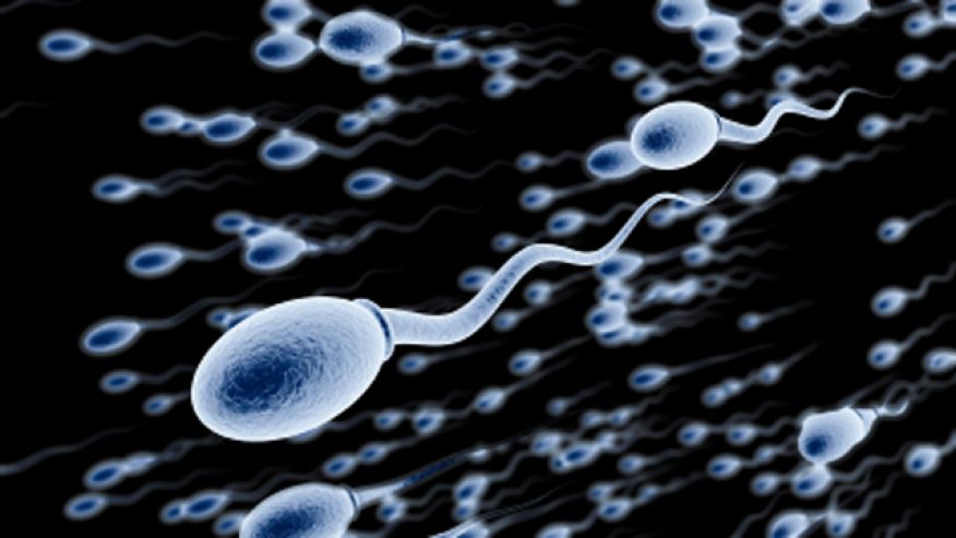 How can I improve my sperm quality? 10 simple strategies